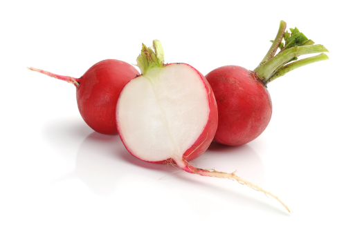 Rabanitos 