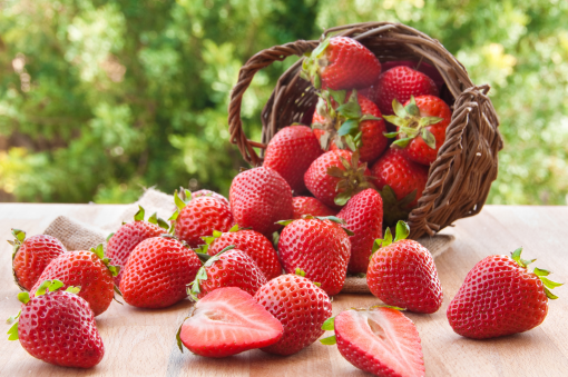 fresas