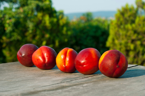 melocotones y nectarinas para el verano