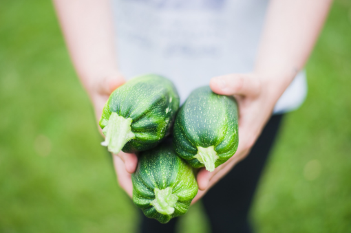 calabacin para junio 
